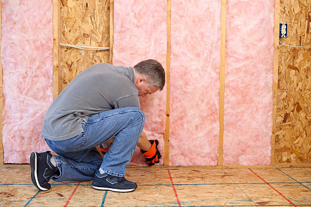 Best Commercial Insulation in Collinsville, MS